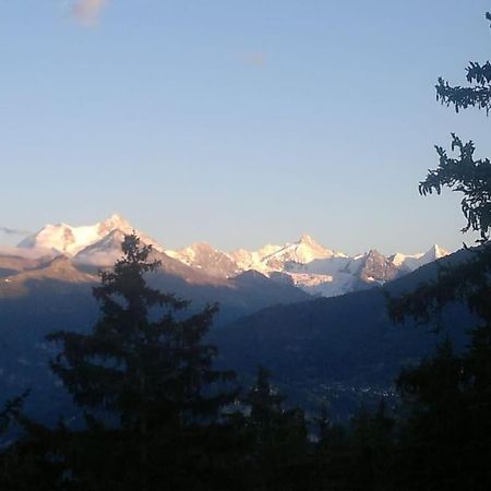 La Casetta Di Crans エクステリア 写真