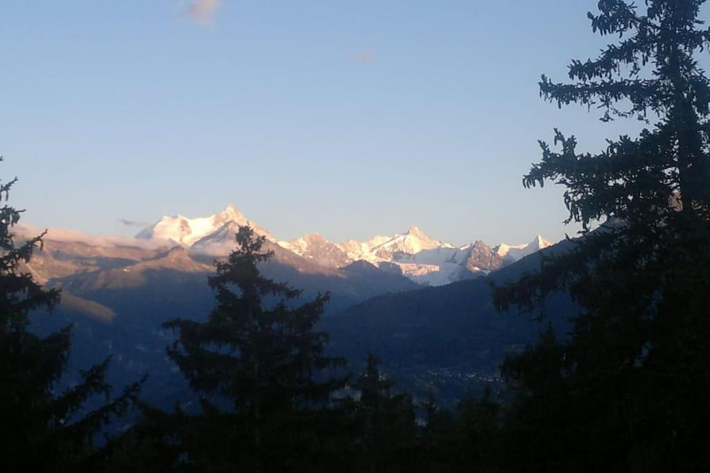 La Casetta Di Crans エクステリア 写真
